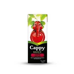 Cappy Visneli Içecek 27 li 200 ml