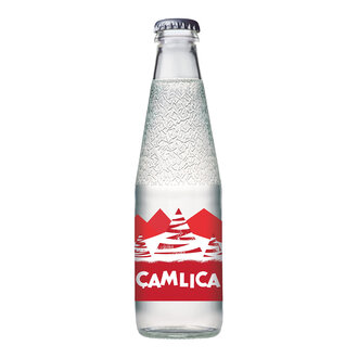Çamlıca Gazoz 200 Ml