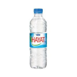 Hayat Su 0.50 Lt.