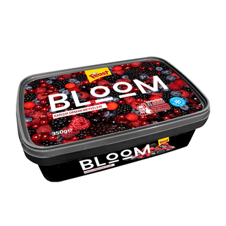 Feast Bloom Karışık Orman Meyveleri 350 G