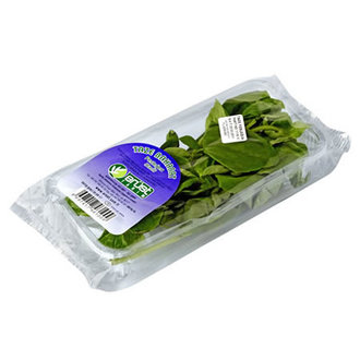 Erüst Fesleğen Taze 25 G Paket
